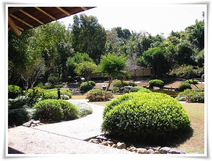 Landscape Design Online: Backyard Landscaping Ideas