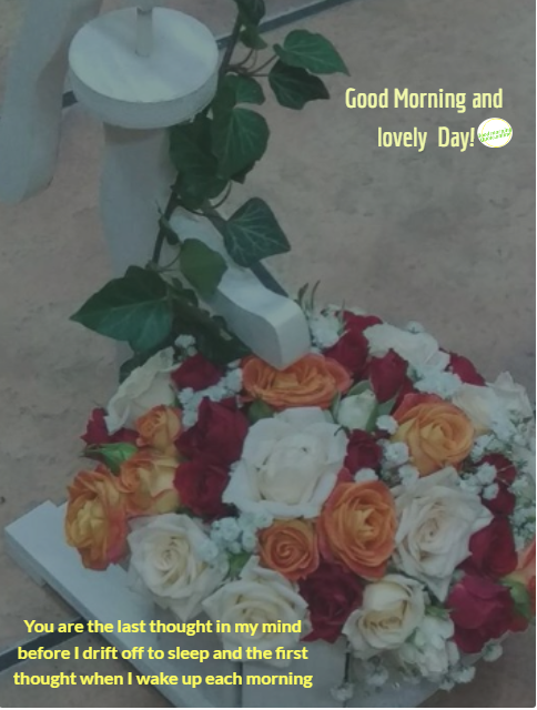 Best 20 +Good morning flowers for Good morning wishes for lover with love quotes that makes feel awesome and sweet    good morning my love good morning love quotes morning love quotes good morning love message morning wishes for her good morning message to my love good morning love you morning quotes for her cute good morning morning wishes for love good morning i love you good morning message to make her fall in love good morning dear love good morning love quotes for her lovely morning morning sweetheart sweet morning text  ,good morning flowers,good morning wishes for lover,good morning love quotes  good morning images with flowers, good morning images with flowers hd, good morning beautiful flowers, good morning romantic rose,