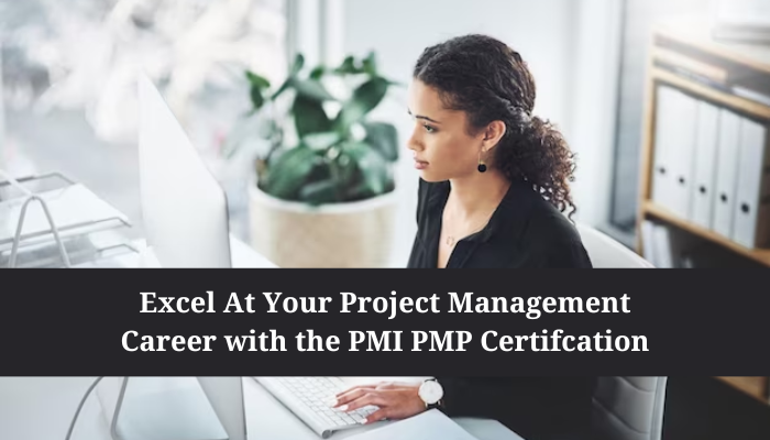 PMP Certification, PMI Project Management Exam Questions, PMI Project Management Question Bank, PMI PMP certification, PMP Career