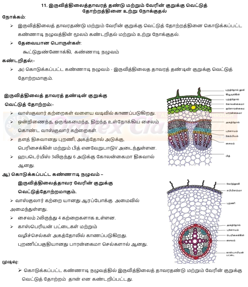 10th Science (New Practical Manuel-September 2019)