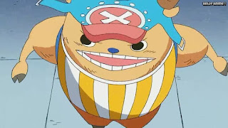 ワンピースアニメ パンクハザード編 585話 チョッパー カンフーポイント かわいい Tony Tony Chopper | ONE PIECE Episode 585