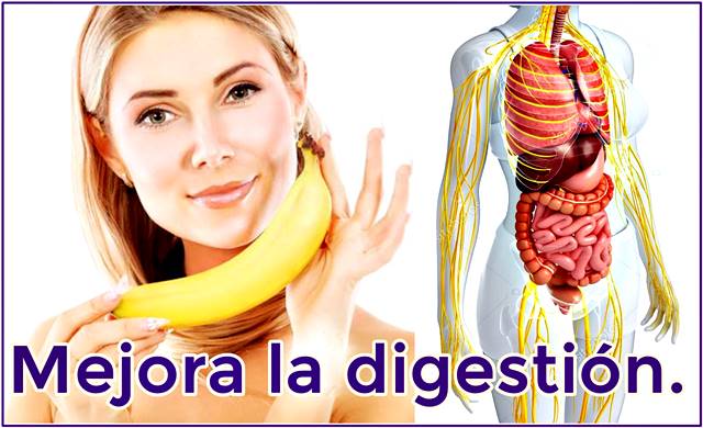 El banano ayuda a mejora notablemente la digestión