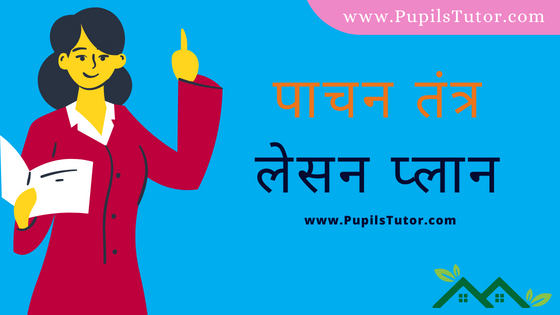 (पाचन तंत्र पाठ योजना) Pachan Tantra Lesson Plan Of Home Science In Hindi On Microteaching Skill Of Questioning For B.Ed, DE.L.ED, BTC, M.Ed 1st 2nd Year And Class 6 To 12th Teacher Free Download PDF | Digestive System Lesson Plan In Hindi - www.pupilstutor.com