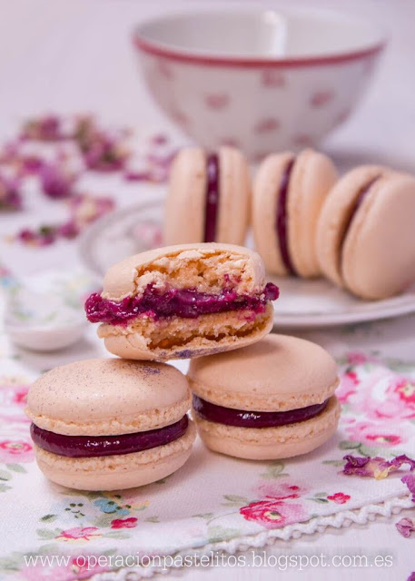 macarons