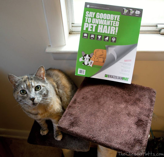 Mini Review: BrazilianMat Pet Hair Removal Tool