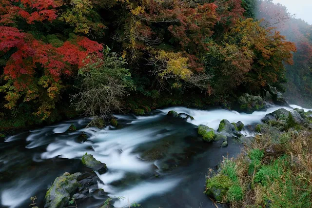 音止めの滝へ流れ落ちる芝川