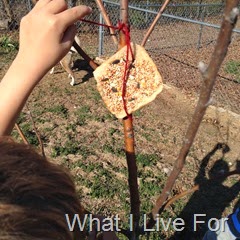 Bread Bird Feeder @ whatilivefor.net