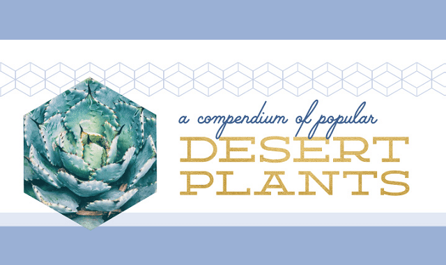 A Compendium of Popular Desert Plants