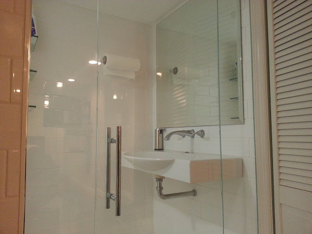 Frameless shower door