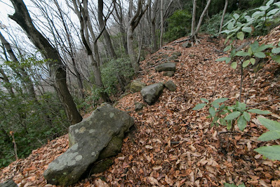 豊後高崎城