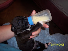 Bottle Feeding