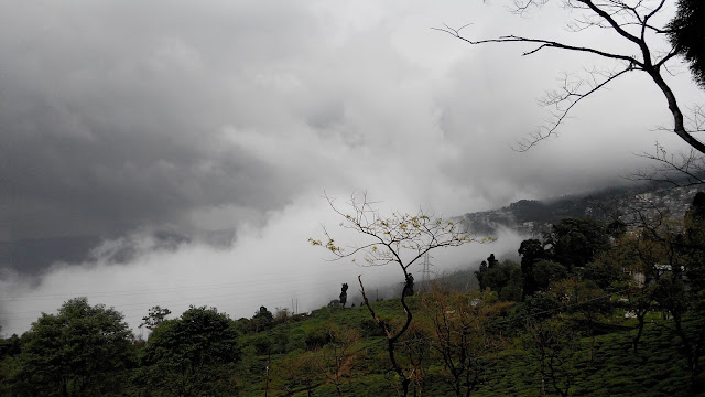 Mist gradually covering the Kurseong town and tea gardens