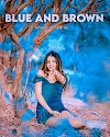 Blue and brown lightroom effect preset free download 