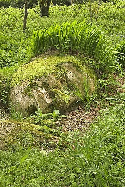 The Lost Gardens of Heligan