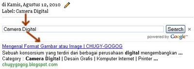 autofill google cse