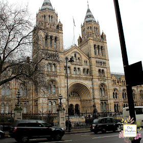 Homeschool trip natural history museum london