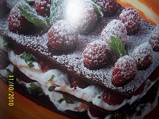 CHOCOLATE SLAB WITH CREAM AND RASPBERRY