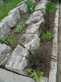 by Paul Jung Gardening Services--a Toronto Gardening Company Riverdale Front Garden Spring Cleanup After