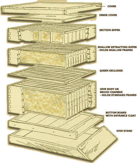 Honey Bee Hive Boxes