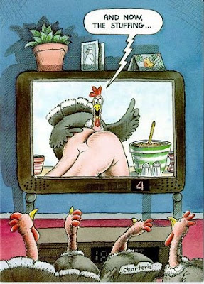 Thanksgiving Funny Turkeys: DBKP Gives Thanks for Humor