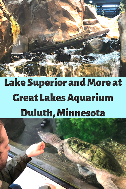 Exploring the Wildlife Wonders and Ecology of Lake Superior and More at the Great Lakes Aquarium