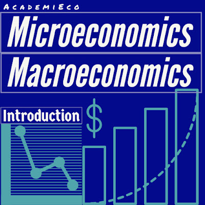 Understanding microeconomics and macroeconomics