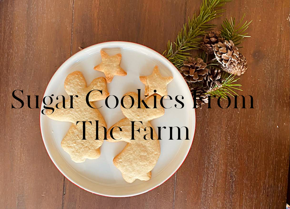recipe-homemade-baking-holiday-sugar-cookie