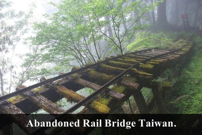 abandoned rail bridge in taiwan