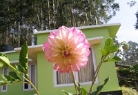 munnar homestays, cheap homestay in munnar, homestay in munnar outside city