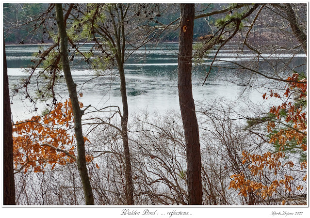 Walden Pond: ... reflections...