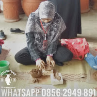 0856-2949-891 belajar gerabah, belajar membuat gerabah, belajar buat gerabah, belajar gerabah kasongan, belajar membuat gerabah kasongan, belajar belajar buat gerabah kasongan, belajar keramik, belajar membuat keramik, belajar buat keramik, belajar keramik kasongan, belajar membuat keramik kasongan, belajar buat keramik kasongan, belajar gerabah jogja, belajar membuat gerabah jogja, belajar gerabah di jogja, belajar membuat gerabah di jogja, wisata edukasi gerabah, wisata edukasi gerabah kasongan, pelatihan gerabah, pelatihan gerabah kasongan, pelatihan membuat gerabah, pelatihan buat gerabah