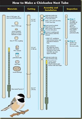 CAROLINA CHICKADEE BIRD HOUSE PLANS | Home Building Designs