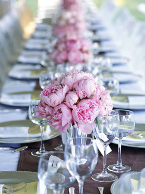 This long narrow table is typical of a wedding reception in Tuscany