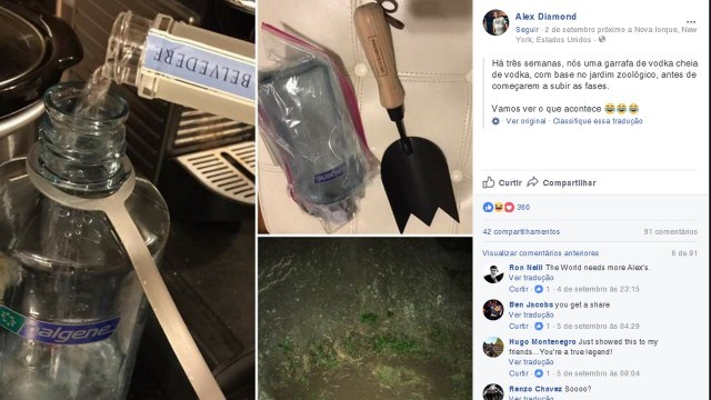 Homem enterra vodka em terreno três semanas antes de festival