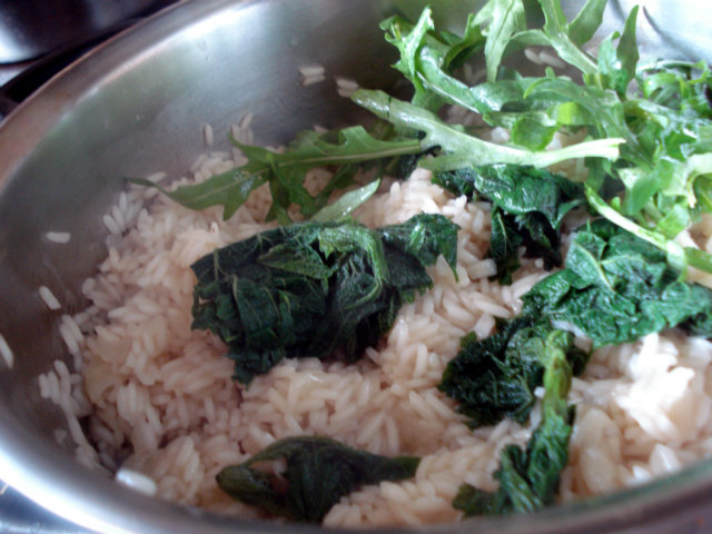 Nettles and arugula in rice