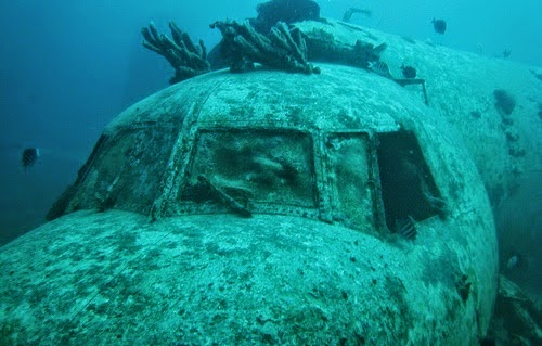 ILMUWAN ASAL AUSTRALIA INI BANTAH MISTERI DI SEGITIGA BERMUDA