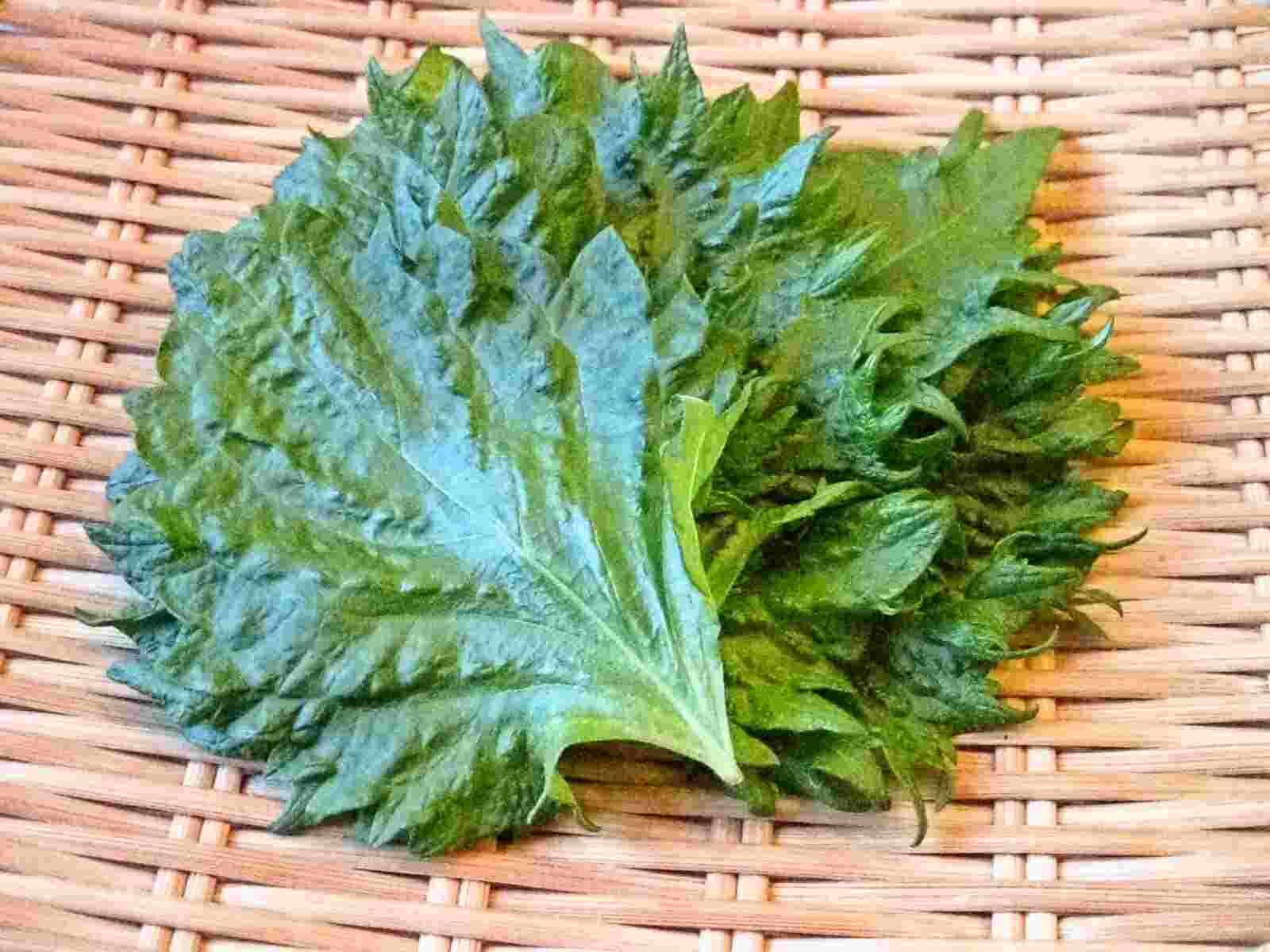 Recipes For Tom Shiso Perilla Leaves Flowers And Fruits