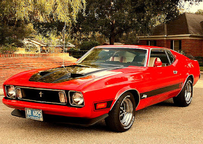 1973 Ford Mustang Mach 1 Fastback Front Left