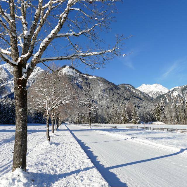 feilkopf pertisau