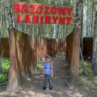 brzozowy labirynt