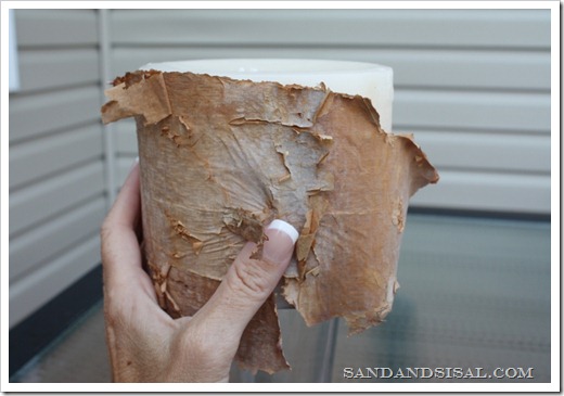 Hold bark to fit (800x533)