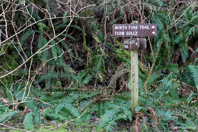 Hoypus Point, Deception Pass State Park