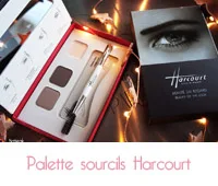 palette sourcils