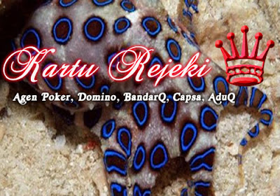 Karturejeki.com | Agen Judi Poker | Agen Poker | Agen Domino | Agen Capsa | Agen Bandar Kiu