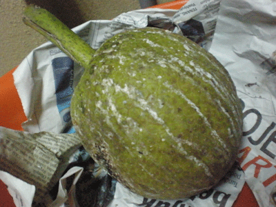 INDAHNYA KEHIDUPAN: Kek Buah Sukun