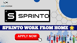 Sprinto Work From Home Job