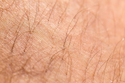  Efek  Positif dari  Tidak Sering Mencukur Rambut  di Tubuh 