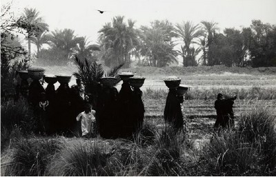 Dorothea Lange