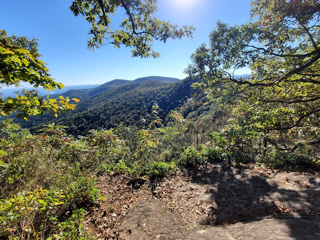 Looking back at springer mountain