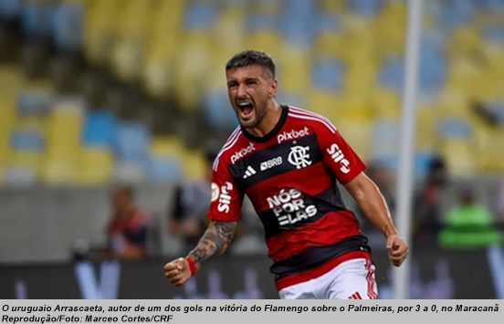 www.seuguara.com.br/Flamengo/Palmeiras/Brasileirão 2023/